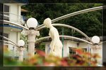 IMG_7423