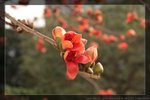 IMG_7810