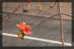 IMG_7812