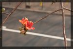 IMG_7813