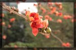 IMG_7814