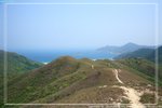 IMG_8871