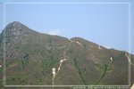 IMG_8875