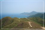 IMG_8877