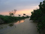 CIMG0647