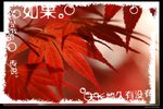 Fudan One