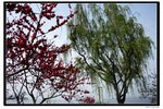 Suzhou Lake Five