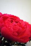 DSC_0724_edited