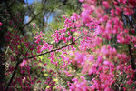 IMG_0189