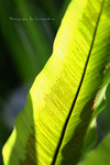IMG_0285