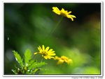 IMG_1923