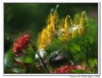 IMG_1947