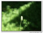 IMG_1953