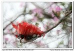IMG_5432