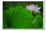 IMG_4778