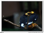 IMG_4061