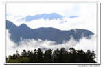 IMG_7329