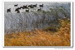 IMG_5939