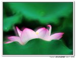 IMG_5859r
