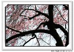 IMG_8892