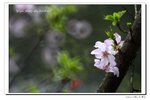 IMG_7185
