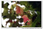IMG_5750