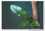 IMG_5928