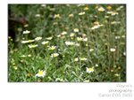 wpat_001