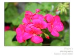 wpat_002