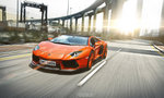 lambo_8pro6a