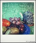 SX-70 photo