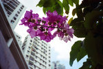 T_sup1_001-1024