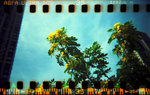 holga_pan004M