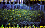 holga_pan007M