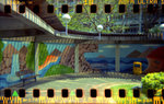 holga_pan008M