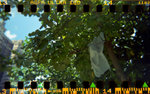 holga_pan012M