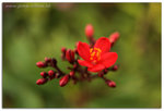 D3X_2901_fhdr ptn