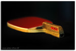 D3X_4083ptn