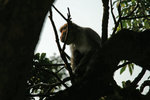PICT3600a