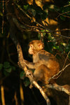 PICT3611a