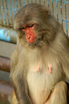 PICT3632a
