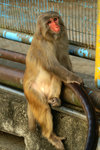 PICT3634a