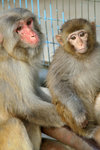 PICT3635a