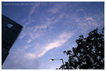 PICT2765sptn