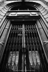IMG_3981