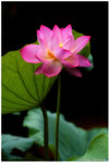 IMG_7340-4s