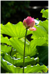 IMG_7360-2s