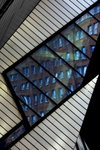 IMG_0142