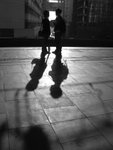 IMG_1264_1_1b