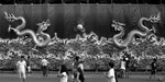 IMG_2234_1_1
